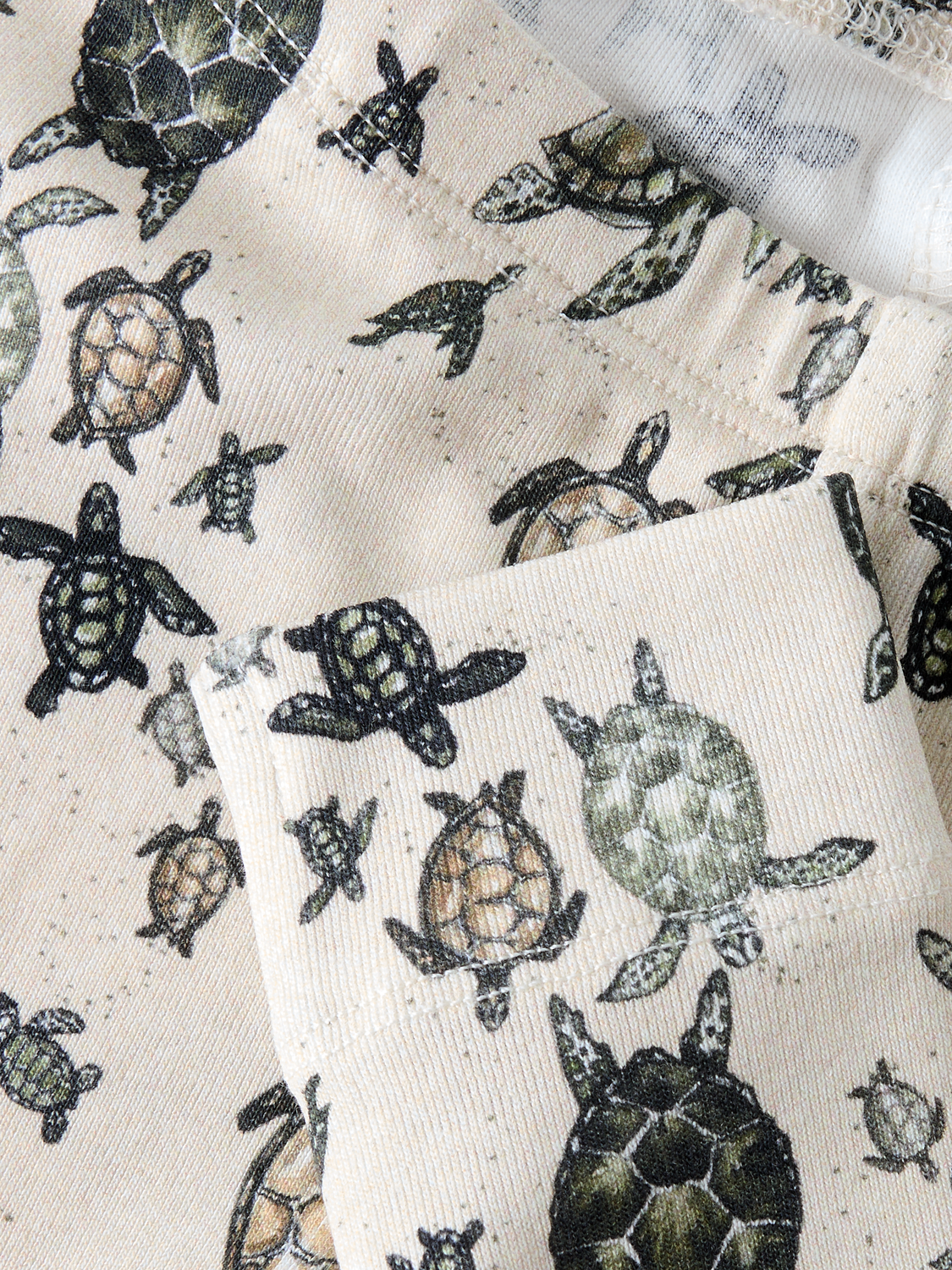 model_shot-front_full